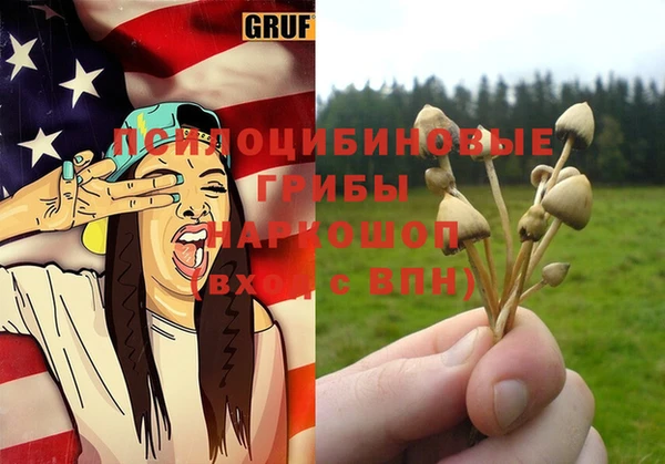 винт Аркадак