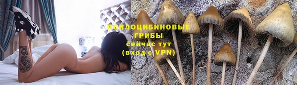 спайс Армянск